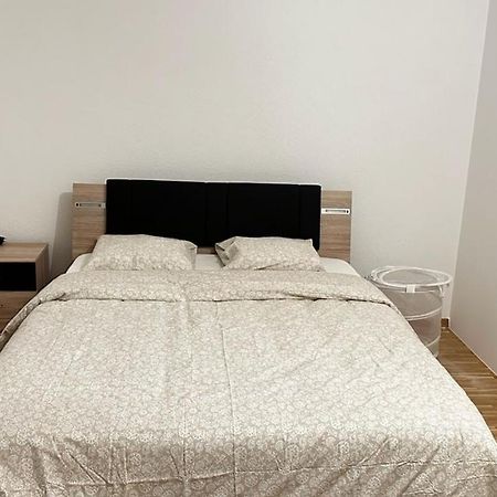 Appartamento Quartier De Plainpalais Ginevra Esterno foto